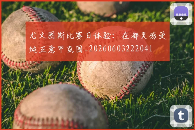 尤文图斯比赛日体验：在都灵感受纯正意甲氛围_20260603222041